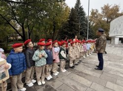 img (3)